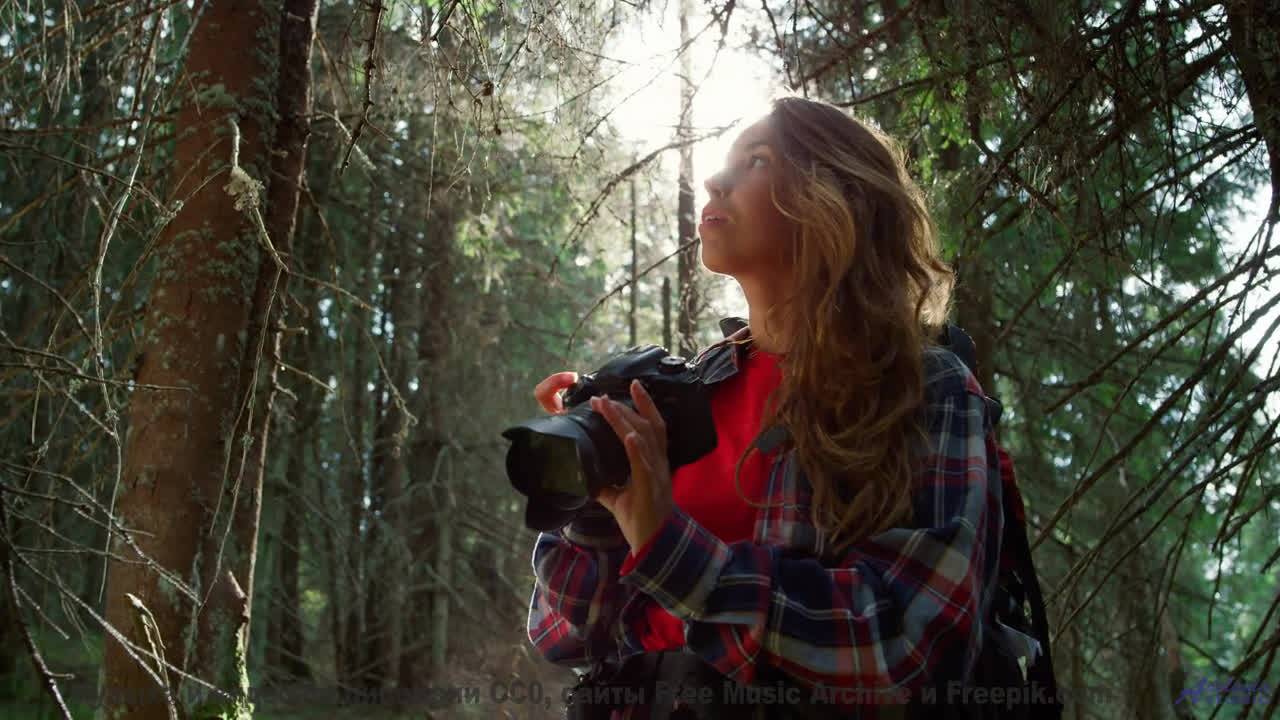 Это видео - как новогоднее чудо в ваших наушниках! - Morning Light -- HoliznaCC0 -- We Drove All Nig