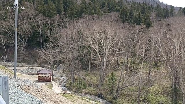 Съездили на одну из пересадочных станций канатной дороги "Горного Воздуха". Южно-Сахалинск.mp4