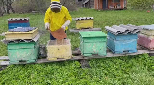 Делим улей на половину лёта пчелы