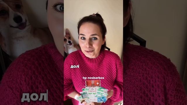 Собачьи девайсы: да/нет
2 часть