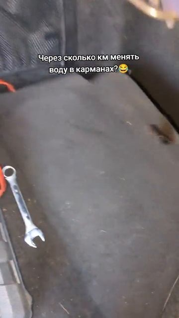 Подскажите пожалуйста, через сколько километров нужно менять воду в карманах?