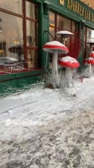 # такие прикольные грибы # подходила мимо# ресторан _).mp4