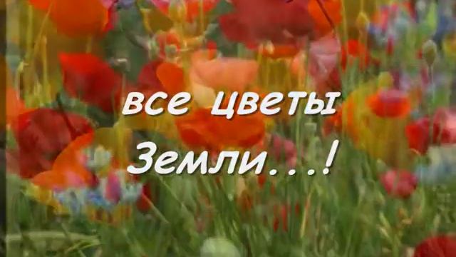 История о герое для Славика.wmv