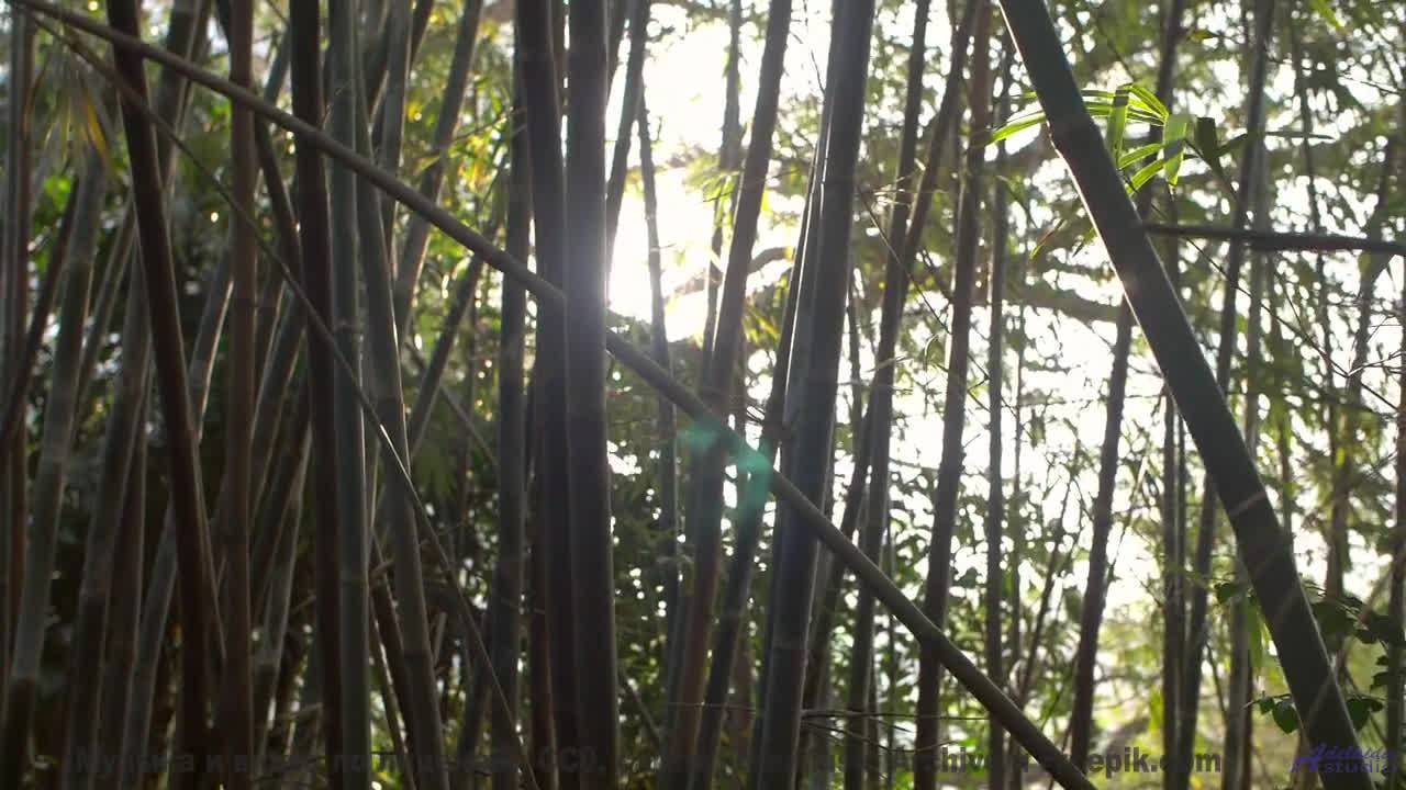 Пейзажи мира, под которыми звучит шедевр - Music Got Me High -- Double-F the King -- Unnamed album