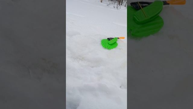 1000007882.mp4