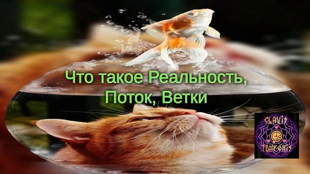 Что такое Реальность, Поток, Ветки