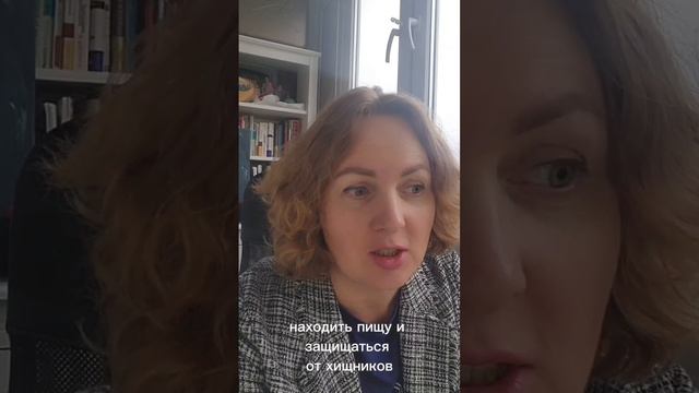 Притча о косяке рыб.