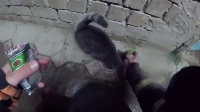 Доброта спасет мир