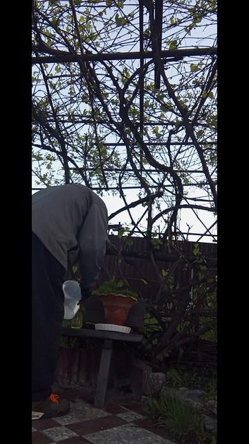 1000021693.mp4