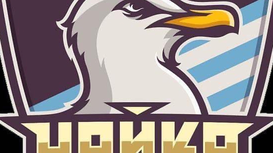 ФК ЧАЙКА - ПАВЛОВИЧИ
