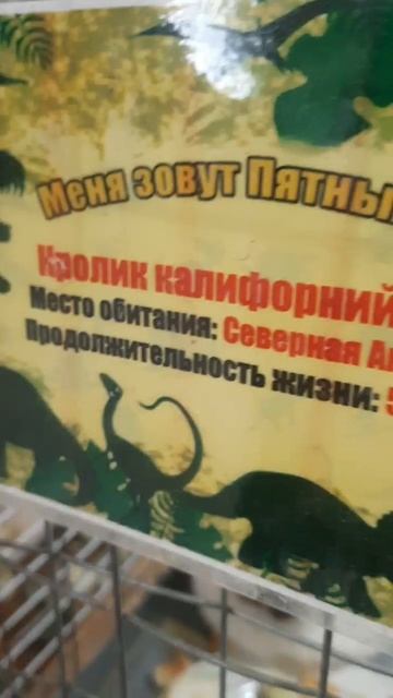 изучение животных