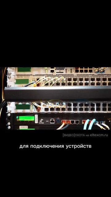 Коммутатор агрегации MES3324F Eltex. Видео[Охота] на eltexcm.ru