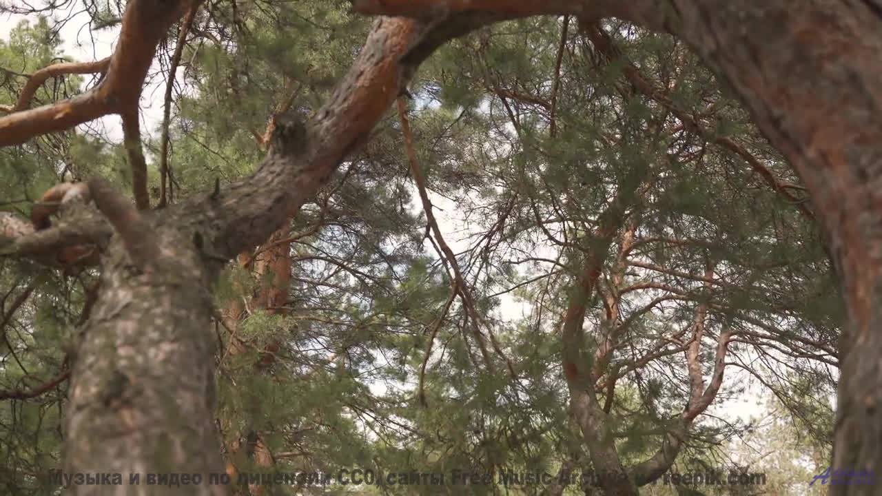 Видео, которое можно понять только с чипом в мозге - или можно - Gimme All I Want -- Anthem of Rain