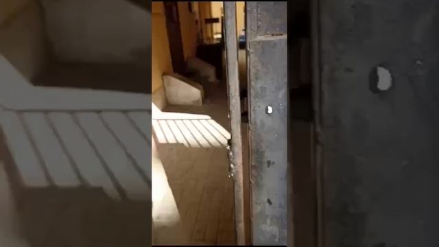 вход Некрасова 25