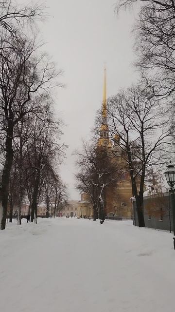 В Петропавловской крепости, Петербург. 12 декабря 2023.