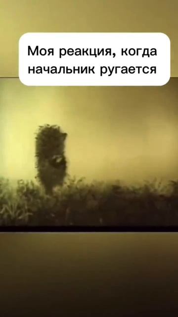 Про разговор с начальником