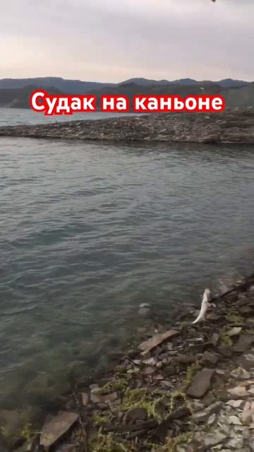 Официально сезон рыбалки на каньоне открыт.  Запись по