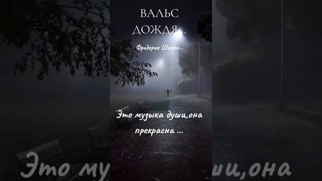 Дождь