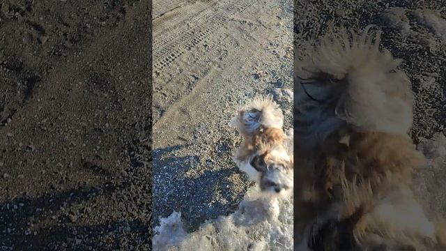 Таракан и пацаны. Что может быть лучше зимней рыбалки на море? На Японском море!
