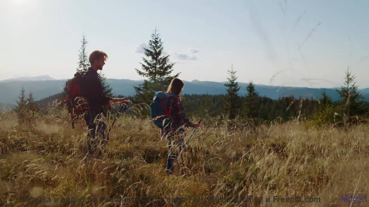 Сердце расцветает на фоне лесов и мощного саунда - Obsolete (lofi samba rock) -- Keshco -- Filmmaker