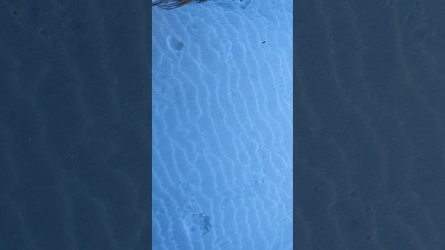 Заведу голасвето и брошу!