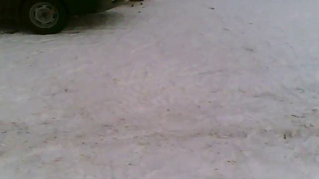 черноголовка   воскресенье