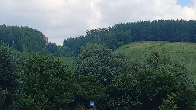 20240704 - Вид на лесную поляну в Первомайском районе по ул. Марата