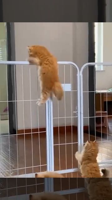 Мешок с картошкой #18