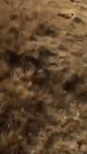 Вот это поворот...  Песня Макаревича...  Вот...  Новый поворот!  Ну и где этот Макаревич?!