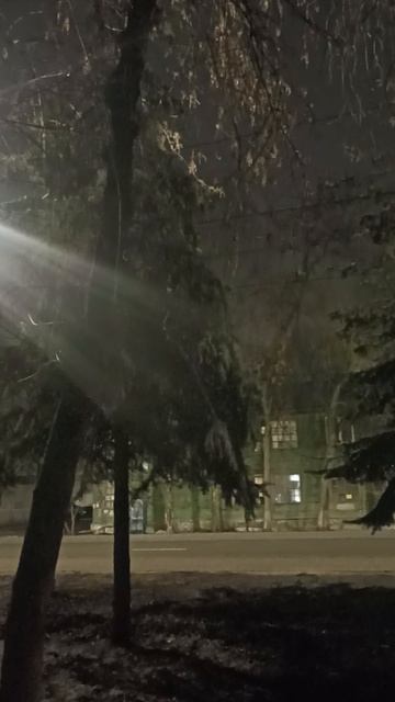 Песни соловья в 5 утра