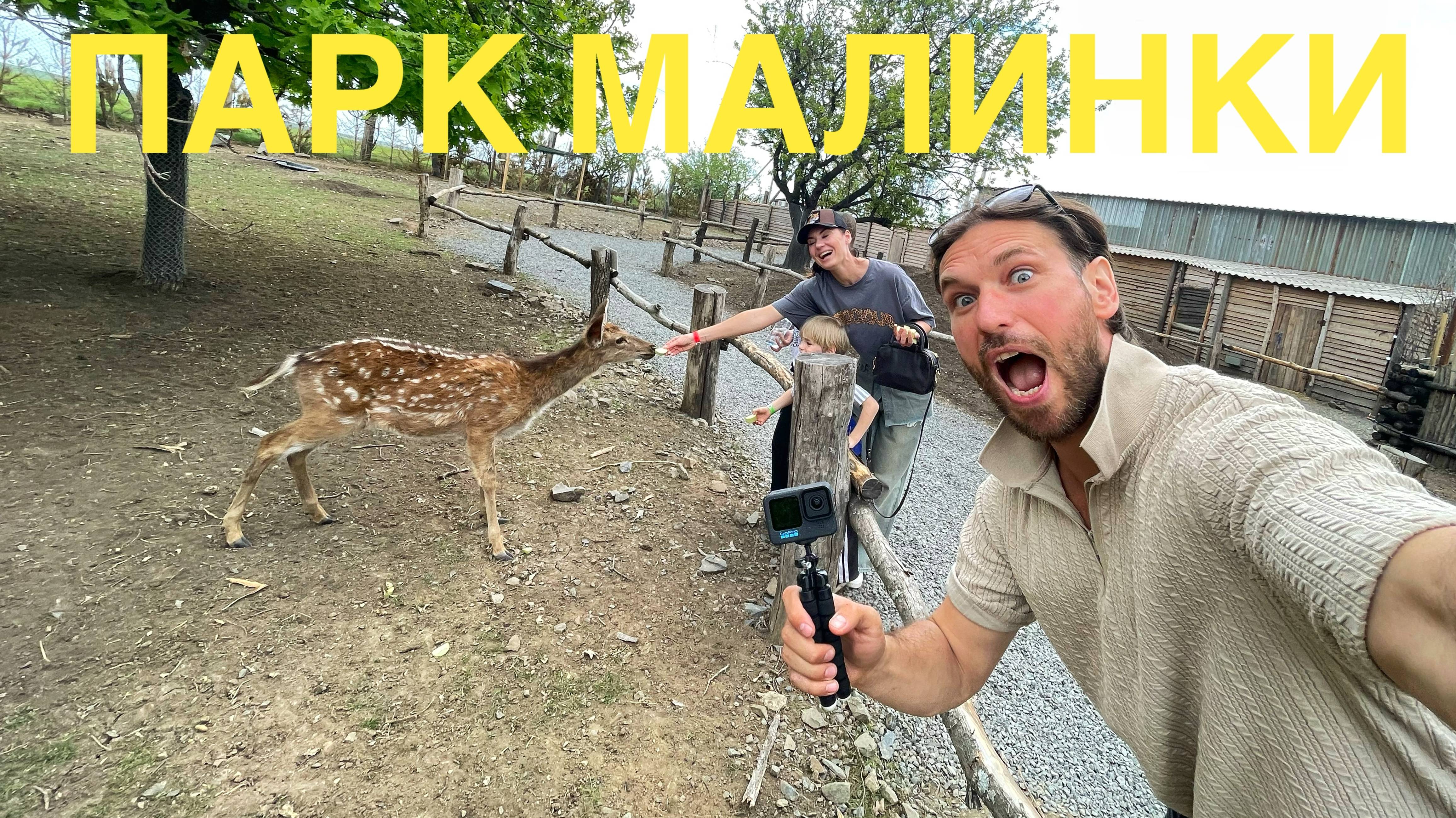 Как мы съездили в парк Малинки
#малинки #паркмалинки