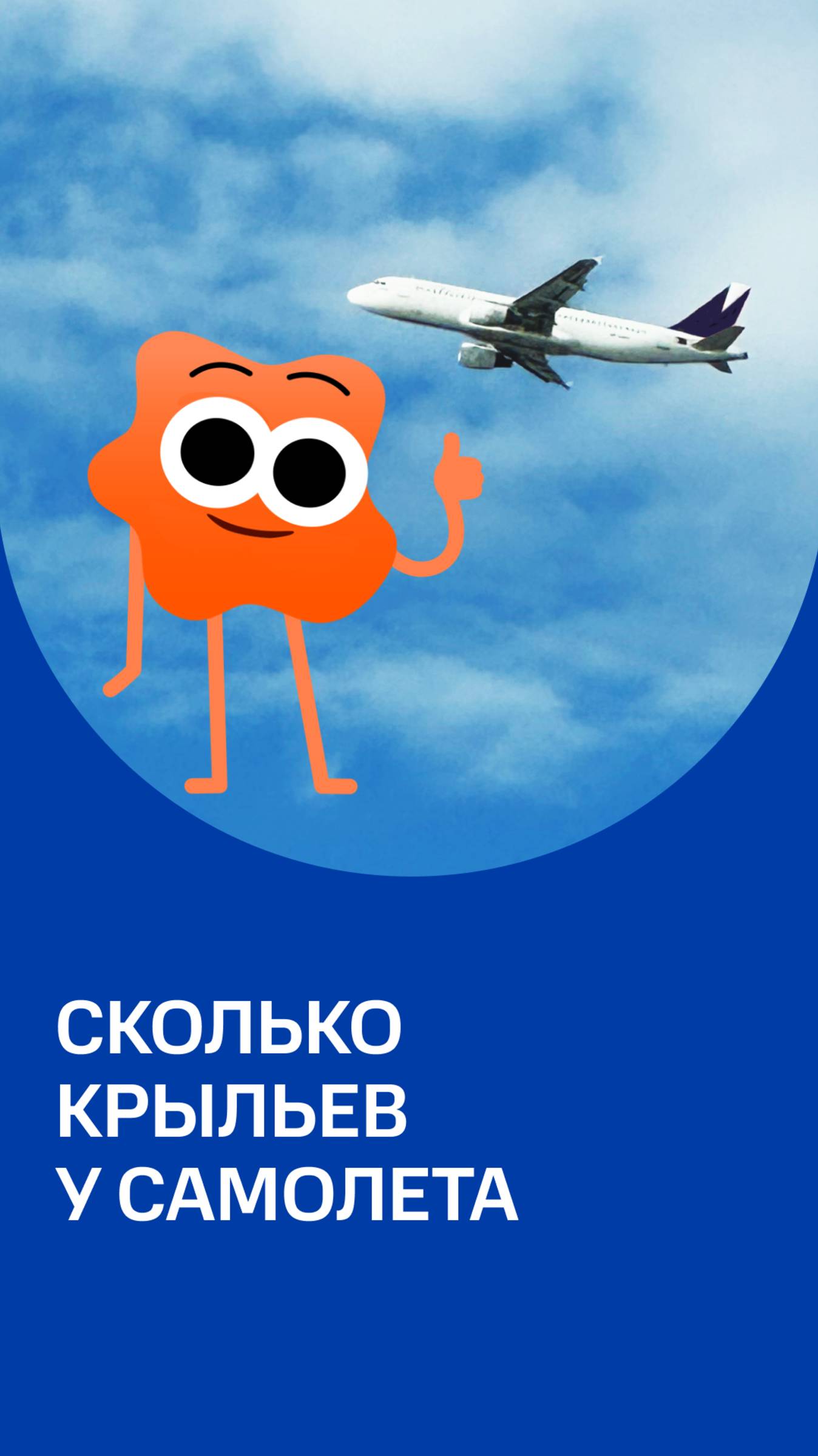 Вы смотрите на #самолет и видите два крыла, но профессионалы авиации знают, что... #авиация