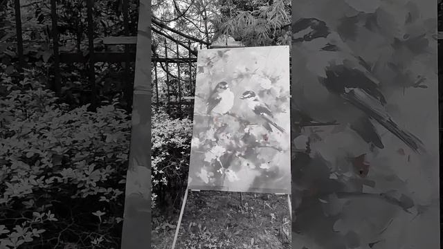 Туапсе центральный парк