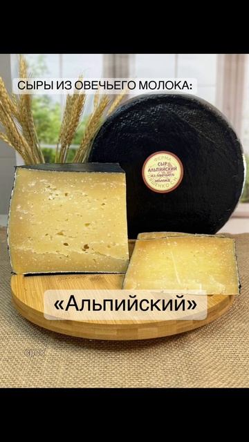 Сыры из овечьего молока.