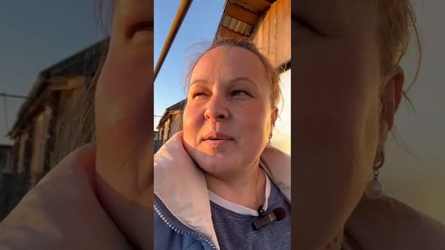 Покупки. Уборка в палисаднике