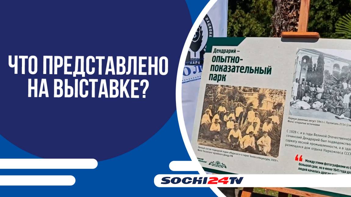 В ДЕНДРАРИИ ПРОДОЛЖАЕТ РАБОТУ ВЫСТАВКА, ПОСВЯЩЕННАЯ 80-ЛЕТИЮ ВЕЛИКОЙ ПОБЕДЫ!