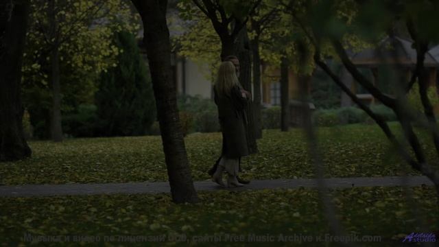 Сердце расцветает на фоне лесов и мощного саунда - The Whistler -- Ayla Nereo -- Play Me a Time