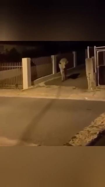 😂 До Конца