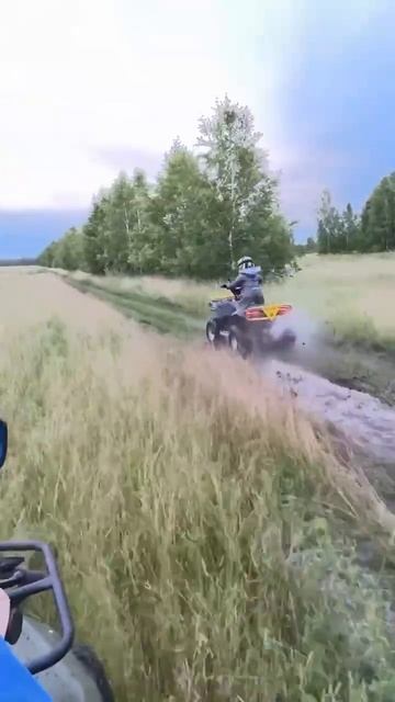 Наши покупатели на прогулке с детьми в выходные))