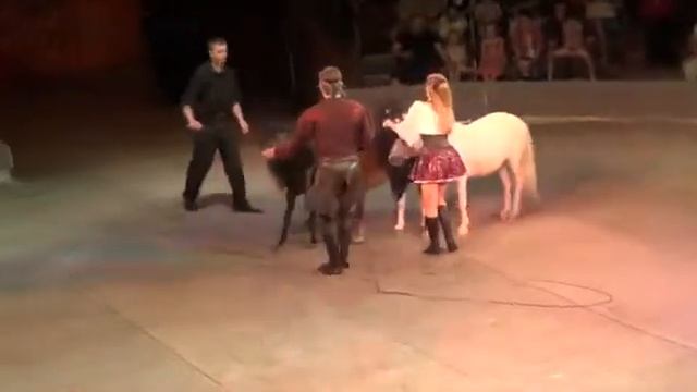 СПЕКТР ПОНИ