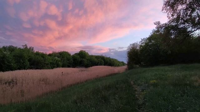 Вчерашний закат на Пролетарке 🥰
