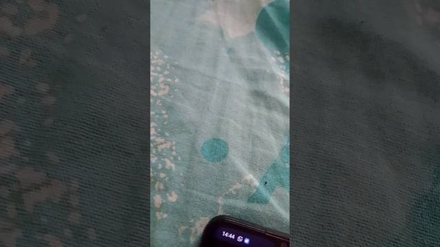 не надо было покупать кошек 🤣