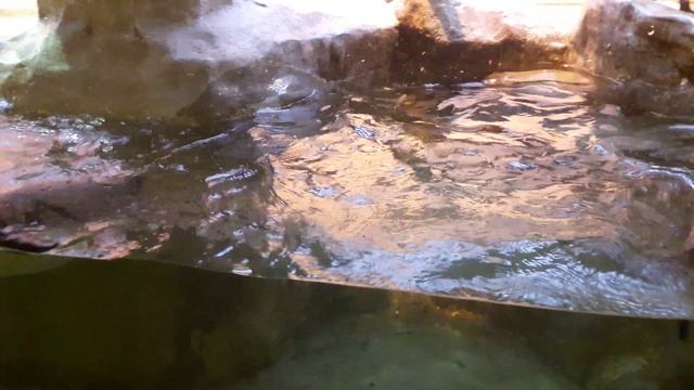 20161204_103909