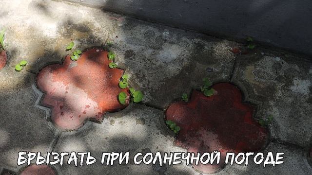 Теперь трава в тротуарной плитке меня больше не беспокоит. 2 эффективных способа от неё избавиться.
