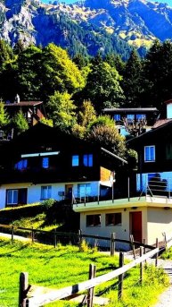 Камера покажет правду