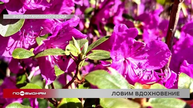 "По весточке": ловим вдохновение