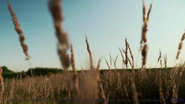 Леса и поля звучат как симфония чувств - Little Bit Of Light -- Lance Romance -- Session On Devils D