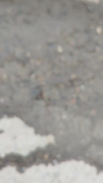 ПРОРЫВ С МАРТА: в Батайске по улице Нефтегорская - прорыв. Местные жители говорят, что с марта.