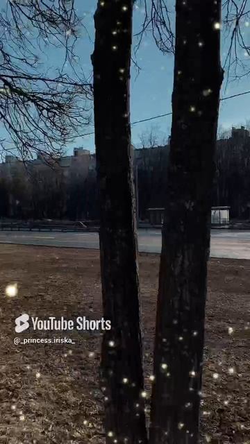 # теплая погода # выходной # как же здорово.mp4