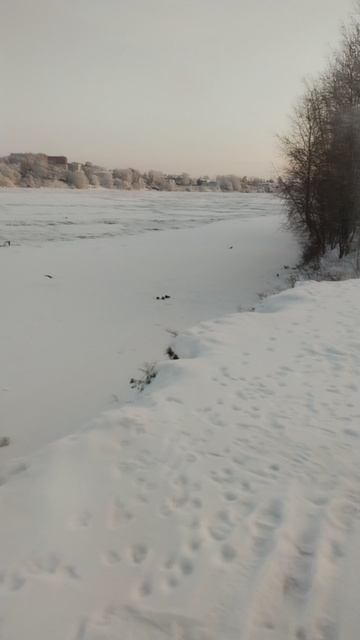 Замерзшая Нева, 9 декабря 2023.
